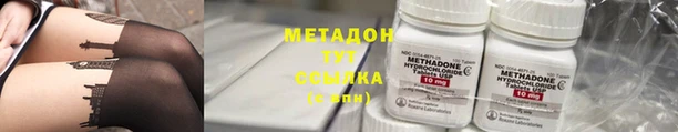 прущие грибы Богданович