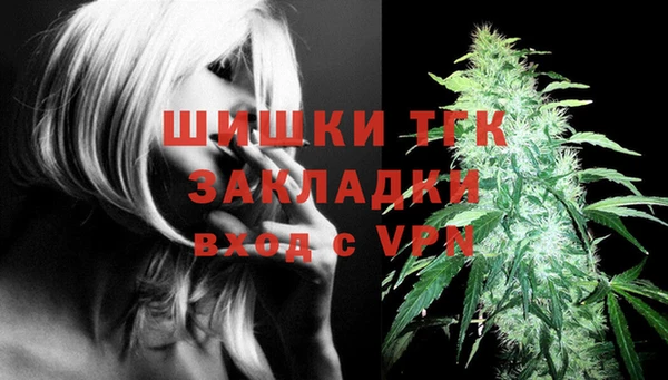 молекула духа Белокуриха