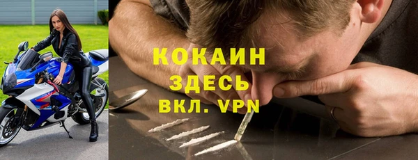 прущие грибы Богданович