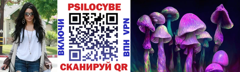 блэк спрут вход  купить наркотик  Белорецк  Галлюциногенные грибы MAGIC MUSHROOMS 